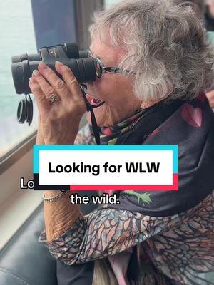 Lesbians & LGBTQ+ in the wild.  #oliviatravel #wlw #lesbians #lesbiantravel #fyp 