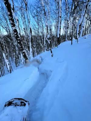 Snows stacking up in the yoop! Over 5 feet in certain areas 😜#snowmobiles #sledusa #sledtok #715films #onlysleds #skidoo #polaris #arcticcat #upperpeninsulamichigan #puremichigan 