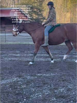 She’s such an amazing horse I swear😻 #fyp #lobathemustang #fypage #positivereinforcementhorsetraining #younghorses #postivereinforcement #horsewelfare #horsesoftiktok 