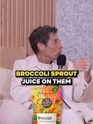 Broccoli juice on hairless mice experiment. #dougevans #sproutwiz #sprouttok #sproutingseeds #broccolisprouts #fyp #foryou 