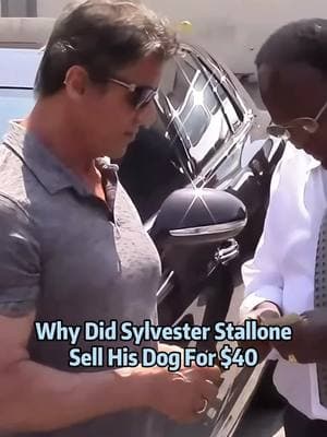 Shocking!#celebrities #foryou #us #actors #celebrity #movie #hollywood #2025 #sylvesterstallone 