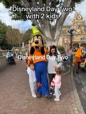 Day Two at Disneyland, the princess meet and greet was their favorite part of the day 🏰🐭❤️ #disneyland#disneylandwithkids#disneylandday2#meetandgreets#characters#downtowndisney#california 