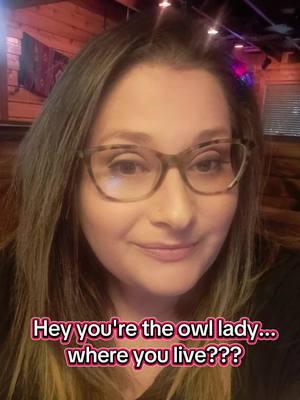 I'll never confess 🤣🤣🤣🦉🦉 #bestowl #greathornedowls #greathornedowl #owls #hootie #hootie #owllady #owlsoftiktok #owlhouse #whatmakescountrygood #pleadthefifth 