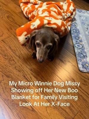 #dog #dogsoftiktok #dogs #dogsofttiktok #doglover #dogtok #doggo #DogTraining #doglife #boo #winnie #winniedog #blanket #jesuslovesyou #jesus #jesuschrist #jesusisking #jesussaves #jesusislord #jesusiscoming #jesustiktok #jesuscristo #jesuschristislord #jesuschristlovesyou #jesuskingofkings #jesuscalling #jesuschristofnazareth #god #godisgood #godlovesyou #Love #loveyou 