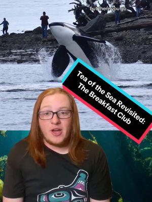 #onthisday this video shows T137A "Jack", a large orca male in the Pacific Northwest, breaching close to shore. This was during a successful seal hunt by Jack and the other young orcas hes been traveling with, collectively known as "The Breakfast Club", or “Jack’s Summer Camp”. Lets talk about it #TeaoftheSea #orca #orcatok #killerwhale #whaletok #whale #whales #pugetsound #pugetsoundorcas #thebreakfastclub #marinebiology #oceantok #marinelife