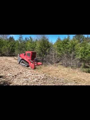 www.NoLimitsLandManagement.com #freeestimates  #forestrymulching #landclearing #forestrymulcher #lamtrac #shearex #missouri #mulchermafia #midwest #reclamation #encroachment #Cedardeleter #cedar #lovewhatyoudo #fecon #peterbilt 