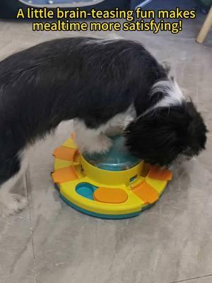 A little brain-teasing fun makes mealtime more satisfying #dogtoy #DogTraining #puzzle #smartdog #dogfeeder #remotecontrol #doglover #dogowner #dogsoftiktok 