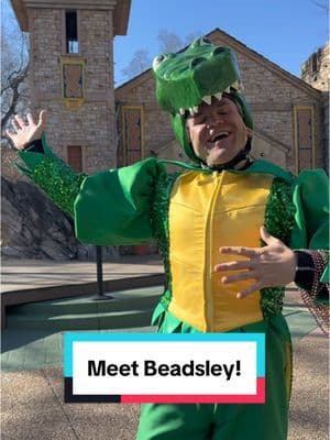 Come to Mardi Gras at @Busch Gardens Williamsburg and meet our friend Beadsley!!! He can be spotted at the Mardi Street Party in Ireland! 💜💛💚 @The Bryan Show 💙 #mardisgras #party #buschgardens #beads #danceparty #buschgardenswilliamsburg #performer #themepark 