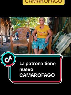 La patrona tiene nuevo CAMAROFAGO #lapatrona #doña #lucia #orbe #mauda #camarofago #gracycruz #fyp 