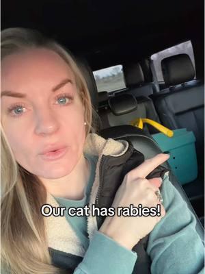 Off to the vet we go! #rabies #catsoftiktok #storytime #PetsOfTikTok #rescuecat #blackcat #thebluntblonde #oklahoma #contentcreator #sahm #furbaby 