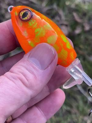 Fatty plopper in Orange Mold pattern! Link in bio! #fyp #lurepainting #fishinglure #topwater #like #share #follow #custompaintedlures #catchfish 