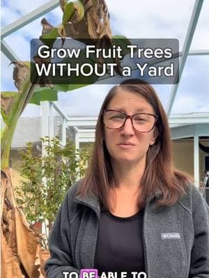 You don’t need a yard to grow fruit trees! I grow a bunch of fruit trees in containers, and they’re thriving. Perfect for small spaces. #growyourownfood #containergardening #fruittree #urbangardening #GardeningTips #creatorsearchinsights