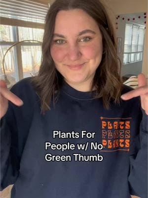 Here are some fun & unique plants for new plant parents that are VERY hard to unalive I promise 🤣 #PlantTok #plantparent #houseplants #plantcare #plantadvice 