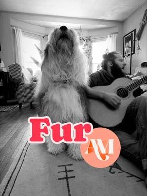 Fur AM by @OurLadyPeace  . . . . . . . . #dog #pup #cute #happy #pet #dogsoftiktok #oldenglishsheepdogs #tiktokdogs #dogoftheday #hair #adorable #singingdog #thewildrumpus #duo #oes #singer #song #howl #foryoupage #foryou #duo #guitardog #rockdog #reels #Siblings #dogsoftiktok #music #dogs #PetsOfTikTok #pets #pet #puppy #dogtok #doglover #welovetosmile #petlover #puppytiktok #vibes #thegreatwhitefluffalo #joy #smiles #howler #dogsong #dogsongs #Love #familyband #dogband #dogsinger #joyous #shaggydog #pnw #pnwdog #cover #coversong #forest #nature #woods #acoustic #acousticsong #acousticcovers #acousticcover #olp #ourladypeace #4am #furam #fur