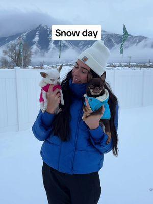 This was the first Utah snow we’ve been home for so we had to bundle up the dogs and play outside🥹 Remi loved it and Madi laid by the fire for the rest of the day🫶🏼 #snowday #dogsnow #dogmom #chihuahua #stadlerfam #madiandremi #morningvlog #ditl #utah 