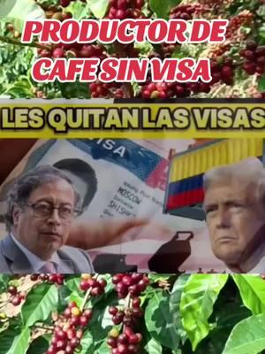 productor de café sin visa  colombia #usa #cafe #productor#visa #turismo #noticiassinfrontera 