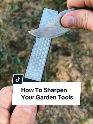 Making clean cuts in your garden, particularly when pruning or shaping perennials, is a surprisingly important factor to their health. Precise cuts allow the plant tissue to heal quicker, inflicts a smaller wound, and thereby decrease the likelihood of diseases creeping in. Dull tools tend to crush or tear, more that cut, and with all the work we put into our gardens why not take a few minutes every season to sharpen our tools? A simple two sided sharpener is the easiest way to keep your looks working best, and once they’re sharpened it’s best to coat them with a lubricant so as to keep away rest and maintain the edge as long as possible. Here are some great options: 1. Boiled linseed or normal linseed oil - this is what I use on my garden tools, as it coats the metal and penetrates the wood, and is readily available. As with any lubricant make sure you fully wipe it off before harvesting, and with linseed oil in particular make sure you dispose of the rags carefully as they can spontaneously combust. 2. 3 in 1 oil - this is another common lubricant used on garden tools, that while not as naturally derived had a longer life and usage period. 3. Literally any other oil - I’ve heard from people using olive oil, avocado oil, and just about everything else - and if that’s all you have access to then it’s better to use it than not have anything. Know that some oils can go rancid, but wiping them off well should put you in good standing. #gardentool #gardentools #toolsharpening #gardening101 #gardeningforbeginners #gardeningtips #gardenmaintenance #gardenpruner 