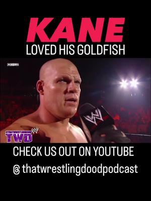 Now I see where he got his love for orange things..    WWE SMACKDOWN - JULY 23, 2010    Go check us out on YouTube @ Thatwrestlingdoodpodcast (LINK is ALWAYS in the BIO!!!)..  Don’t forget to LIKE, COMMENT, SHARE & FOLLOW.. . . . .  #kane #wwesmackdown #wwesmackdownlive #smackdown #worldwrestlingentertainment #WWE #thatwrestlingdood #prowrestling #luchalibre #wweuniverse #wwenetwork 