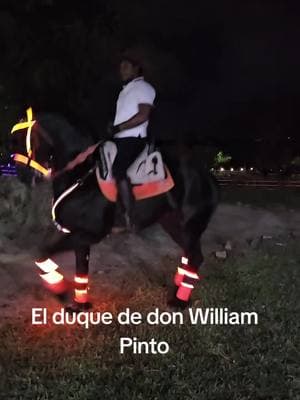 #duque #potrillos #caballaosoficial #vendo #rancholaslomaschiquimula #viral #Chiquimula #elmejorrestaurante #ipalafer2025 #trump #migra #quinceñera #williapinto #rancholaslomaschiquimula #viral #Guatemala #Chiquimula #unitedstatesofamerica 