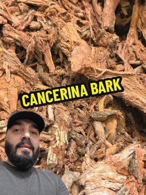 🌿 Cancerina Bark, Indigenous Medicine 🌿 Familia, have you heard of Cancerina? This sacred herb has been a cornerstone of Indigenous Mexican medicine for centuries. It’s celebrated for its ability to fight inflammation, detox the liver, strengthen the immune system, and even soothe the skin as a poultice. For a powerful detox, combine Cancerina with Cuachalalate bark! Together, these two sacred herbs work to deeply cleanse the liver, flush out toxins, and restore balance to your body. We’ve got you covered: ✅ Cancerina Bark ✅ Cancerina Capsules ✅ Cuachalalate Bark 💧 Start detoxifying your body and embracing the healing power of our ancestral remedies. 📍 Visit us at: Aztlan Herbal Remedies 21720 South Vermont Avenue, Suite 111 Torrance, CA 📞 Call us: 424-228-8646 🌐 Shop online: www.aztlanherbalremedies.com Let’s heal together, Familia. 💚 #HerbalHealing #IndigenousWisdom #NaturalDetox #CancerinaHerb #Cuachalalate #TraditionalMedicine #LiverDetox #MexicanHerbalist #HealWithHerbs #AncestralHealing #HolisticWellness #PlantMedicine #NaturalRemedies #ReconnectWithNature #HealingJourney #mexicantiktok #latinostiktok #latinos #Foryou 