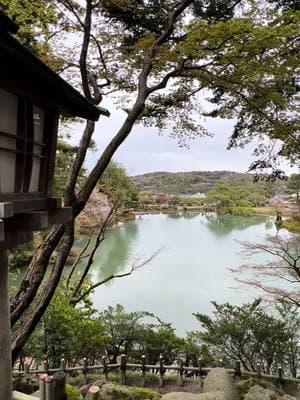 Kenroku-en has so many beautiful viewpoints.   #japan #kanazawa #kenrokuen #cherryblossoms #japanesegarden #lantern #lake #garden 