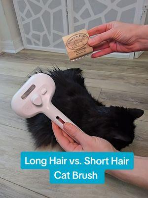 Replying to @velvetfineapple  Cat Grooming Brush #catsoftiktiok #catowner #catownerproblems #catlover #catmom #PetsOfTikTok #petlover 