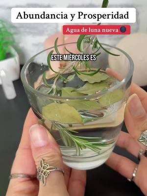 #rituales #tumagick #atraerabundancia #atraerenergiapositiva #atraerprosperidad #ritualesdebuenasuerte #ritualdeprosperidad #limpiezaenergetica #ritualesdelunanueva #lunanueva #añonuevochino 