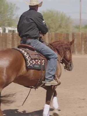 **Find the full article and video in our bio.** Get ready to learn from 𝗕𝗿𝗮𝗱 𝗕𝗮𝗿𝗸𝗲𝗺𝗲𝘆𝗲𝗿. Barkemeyer, a Professional Horseman focusing on Western performance horses specifically Reined Cow horses and Roping, breaks down the 𝗳𝘂𝗻𝗱𝗮𝗺𝗲𝗻𝘁𝗮𝗹𝘀 𝗼𝗳 𝗮 𝗹𝗲𝗮𝗱 𝗱𝗲𝗽𝗮𝗿𝘁𝘂𝗿𝗲. Thanks to @absorbine we're bringing you a series of video tips from Barkemeyer, helping 𝐲𝐨𝐮 𝐭𝐨 𝐬𝐡𝐢𝐧𝐞 𝐢𝐧 𝐭𝐡𝐞 𝐬𝐡𝐨𝐰 𝐩𝐞𝐧. #horsetraining #horsetrainingtips #performancehorses #cowhorse