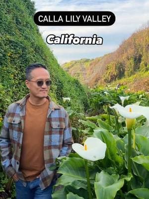 🌸 Calla Lily Valley is just starting to bloom and will be in full bloom in a week or two! Great for a Big Sur Highway 1 road trip!    Trail starts here and takes about 10 minutes:  https://maps.app.goo.gl/8D8tFHA4J87t7dba7    You can also search for ‘Calla Lily Valley’ on Google Maps and look for the ‘Garrapata Trail’ just north of Doud Creek    It can be a little muddy down by the flowers - I was fine with sneakers though.      #visitcalifornia #bigsur #hwy1 #roadtrip #springflowers #carmel 