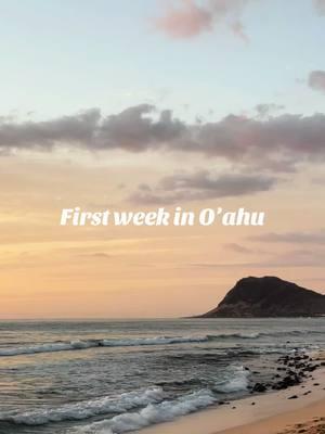 I can’t believe I live here!!🌺 #Hawaii #oahu #sunset #beach #waikiki #surfing #shelling #diving #snorkeling #life #UNECOM #Maine #Portland #DO #accepted #premed #premedstudent #premedlife #premedtips #premedadvice #premedmotivation #premedmentor #premedproblems #premeditated #premedstudents #mcat #mcatprep #mcatadvice #mcattest #mcatgoal #mcatscore #mcatstudying #mcatstudytips #mcatstudyhacks #studyhacks #college #collegehacks #studytips #Womeninmedicine #medicine #medicalschool #medschool #medschoollife #medicalschool #medicaltiktok #doctor #physician #medschoolapplication #applications #mcattestprep #BeMo #bemopartner #bemoacademicconsulting #premedley #premedleypartner #premedlife #premedlifestyle #aamc #aamcmedschool #jackwestin #jackwestinmcat #casper #preview #studygoals #studymotivation #studyhabits #studyhabits #medschooljourney #journeytomedicine #Lifestyle #grwm #Vlogs #Vlog #studyabroad #sas #semesteratsea #sas129 #spring22 #premedstudyabroad #medschoolinterviews #interviews #medinterview #DOschool #waitlisted #accepted #UNECOM 