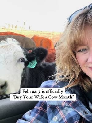 #husbandwife #marriagehumor #cows ##piggythecow #happycows #cowsmakemehappy #farmlifeisthebestlife #rancher #funnyfarm #makeyourwifehappy 