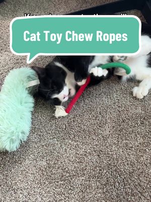 She is obsessed with these 😂 #cats #catsoftiktok #cattok #catmom #catmomsoftiktok #catmomlife #catlovers #catloversclub #catpeople #cattoys #cattoy #tiktokshopcreatorpicks #PioresSituaçõesSemArCondicionado 