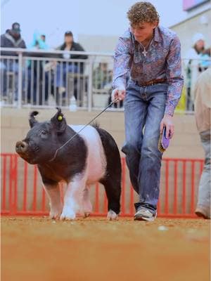 Driving through the week like… #HustleAndShow #FWSSR