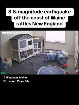 Video shows the moment a 3.8-magnitude earthquake struck off the coast of Maine, shaking this home and causing a rabbit to hop away. The quake also rattled parts of Massachusetts, New Hampshire and Rhode Island. #news #earthquake #Maine 