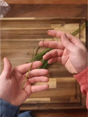 How to keep fresh herbs fresh. Fresh herbs can really make a dish, but they are often not in our pantries because they are a pain to store. This is how we get the longest life from ours. #herb #herbs #chives #storage #foodstorage #KitchenHacks #CookingHacks #cookinghack #foryoupage #foryou #fyp