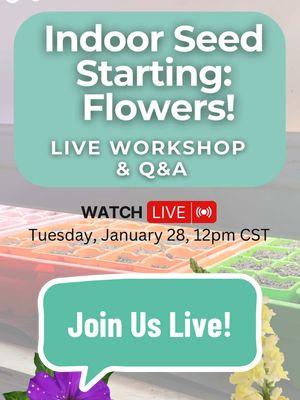 🌸 Join Us LIVE for Indoor Seed Starting Flowers! 🌸 Have you ever wanted to grow beautiful flowers indoors but weren’t sure where to start? Tomorrow, we’re hosting a free live workshop to show you how! 📅 When: Tuesday, January 28 at 12pm CST 📍 Where: Live on YouTube & Facebook 🎉 Giveaway Alert: One lucky participant will win a FREE 1-year premium subscription to the Seed to Spoon app! We’ll be sharing tips, showcasing our favorite flower varieties, and answering all your questions about starting flowers from seed! 🌼 Bring your questions and get ready to start your garden blooming indoors. We can’t wait to see you there! 👉 Save the date and join us tomorrow! #SeedStarting #IndoorGardening #Flowers #GardeningWorkshop #SeedToSpoon #GrowSomethingBeautiful #gardening #fromseedtospoon #seedtospoon 