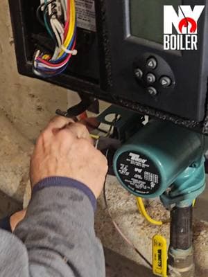 Taco Water Pump Replacement (Louie The Boiler Man) #waterpump #boiler #boilermanufacturer #boilermaker #highpressureboiler #hvacmaintenance #hvacsystems #plumbing #plumber #plomeria #plomero #plomeros #nyboiler #nyboilerrepair #louietheboilerman