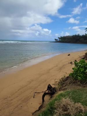 #kauai #dolfins #turtles #lifesabeach 