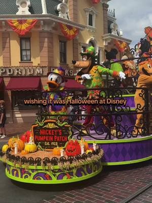 Last year I only went 3 times to Disney during Halloween season :( I won’t let that happen this year 🥹 counting down to August 🎃🐭 #halloween #halloweentime #halloweenvibes #halloweenatdisney #disneyhalloween #disneytok #halloween365 #halloweenlife #fyp 