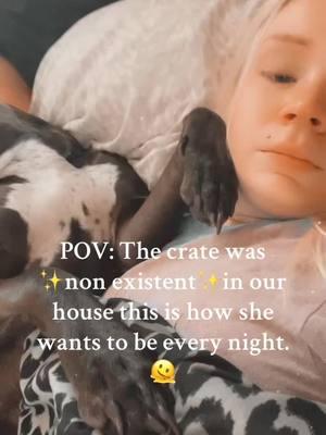 #dogsoftiktok #pittylove #novagirl #fyp #nightynight 