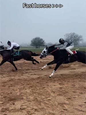 Good day for some fast horses. #horseracing #quarterhorses #horsetok #horses#fasthorses#texas#qhracing#fyp 