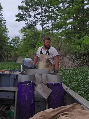 crawfishin#atchafalayabasin #fyp #crawfishing #southlouisiana #yamaha 