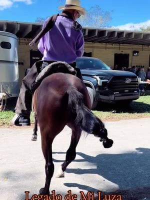 #horse #caballo #caballos #caballoscolombianos  #horse #horses #equinos  #cabalgatas #caballistasdecorazon #viral#equitacion #equestrian #ecuestre #tiktokdecaballos #pasionequina #pasionparaloscaballos #videosdecaballos  #caballosconcorridos #caballosfinos  #trocha #trochacolombiana  #troteygalope #trochaygalope #caballosdepasofino #pasofino #pasofinocolombiana #yeguas🤠🐴 #yeguadecarreras #yeguasmadres #cuartodemilla #yeguas #