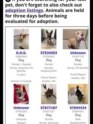 Happy Monday! Although we are closed today, I wanted to highlight our Found Pets page. If you or you know someone who might be missing their pet - be sure to check this page located on our website - www.seattle.gov/animalshelter. We are back open Tues. - Thurs. 1p - 5p!  #lostpets #foundpets #seattleanimalshelter #animalshelter