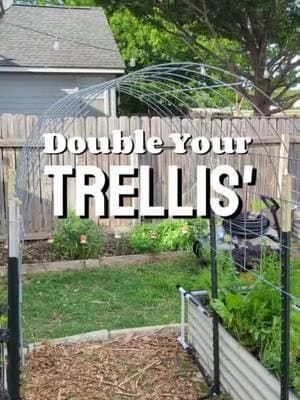 DIY Garden Trellis using LESS materials this spring! These are called cattle panels or hog panels at local feed and supply stores. But using this similar method you can get creative with the materials you're able to source locally! #gardentips #creatorsearchinsights #trellis #gardentrellis #gardentok #beginnergardener #texasgardener #howtogrowfood 