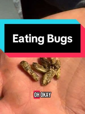 Eating BUGS! Crickets to be precise. @Jake Alligood @jessealligood2122  #gross #bugs #eatingcrickets #yuk #weird #welcome 