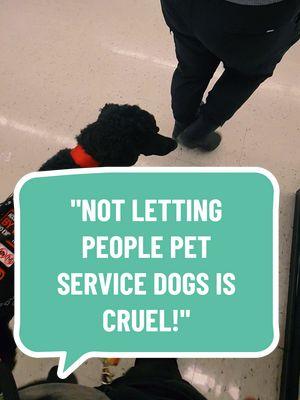 Replying to @carlkraft787 Why stop and let people pet her when both me and her don't necessarily want to? We don't HAVE to let people pet and interact with our dogs and that's not cruel. #poodle #standardpoodle #servicedogintraining #servicedogteam #servicedogtraining #forcefreedogtraining #rplusdogtraining #positivereinforcement #fyp 