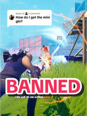 Replying to @🥷 Minigun is BANNED from Go Goated! #theboydilly #goodgamers #gogoated 