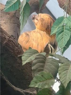 How I look when I’m minding my own business #f#fryl#lolh#hahao#omgh#houstonh#htownh#happyh#houstonzooz#zooz#zoolife