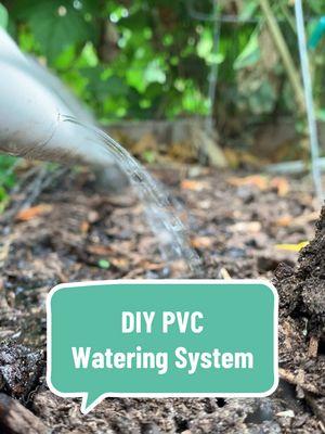 PVC watering systems are such a game-changer for raised beds! 💧 We loved using these in our garden—they’re simple to set up and make watering so much easier.  Winter is the perfect time to tackle projects like this while you have some downtime, and getting your watering system ready now will save you so much time come spring planting! 🌱 Why we love PVC watering systems: 💧 Save time by evenly watering your beds in minutes. 🌱 Reduce water waste with targeted watering. 🛠️ Easy to customize for any bed size. 🚰 Simple to attach a hose and switch between beds. 🦠 Helps minimize disease transmission by keeping water off leaves. 🏡 Affordable and long-lasting solution for your garden. Curious how they work? Check out our YouTube channel to see more details about how we built them! #DIYGardenProjects #RaisedBedGardening #WinterGardenPrep #SeedToSpoon #SmartGardening #RaisedBedGardening #DIYGardenProjects #WinterGardenPrep #SeedToSpoon #GardeningMadeEasy #diygarden #diygardening #watering #pvc #pvcprojects #gardening #fromseedtospoon #seedtospoon